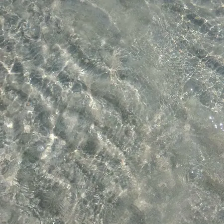 Parus 25 Pomorie